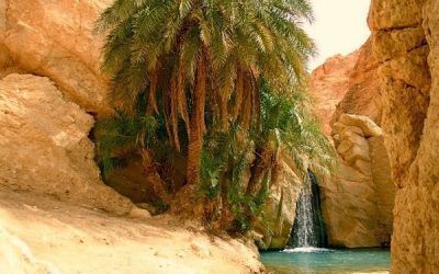 Túnez, oasis + estancias