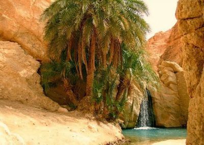 Túnez, oasis + estancias